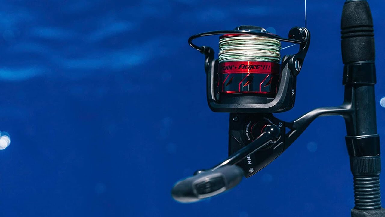 PENN Fierce III Spinning Inshore Fishing Reel YouTube