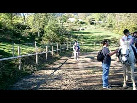 Vídeo: Com Fer La Sortida A L’alberg