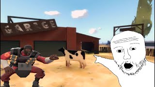 demoman laughs at 2fort cow and then laughs at a missing texture