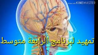 تمهيد لدروس السنة الرابعة علوم طبيعية