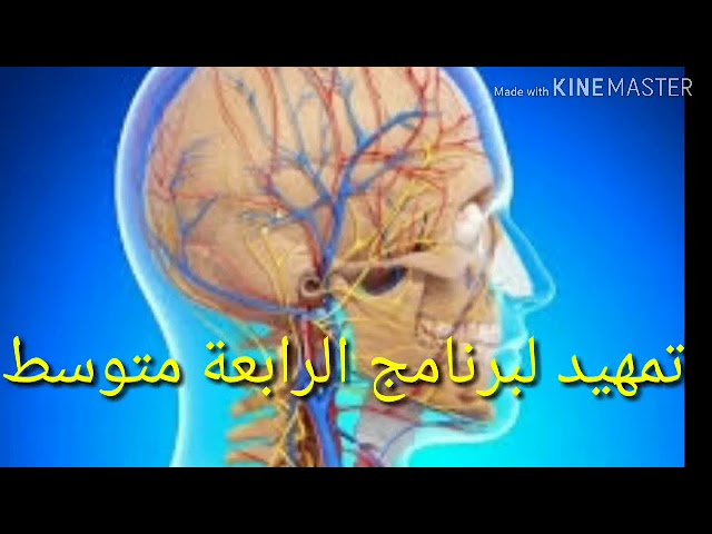تمهيد لدروس السنة الرابعة علوم طبيعية