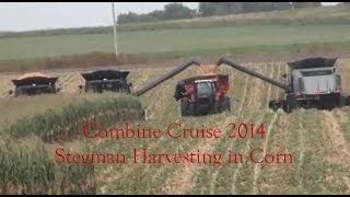 Stegman Harvesting Picking High Moisture Corn