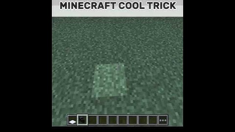 MINECRAFT BUILD HACK#shorts