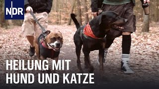 Mit Hunden in der Suchtklinik | Die Nordreportage | NDR Doku