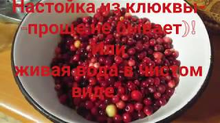 Настойка из клюквы от Вискария Бурбоновича)! Настойка из клюквы от Вискария Бурбоновича)!