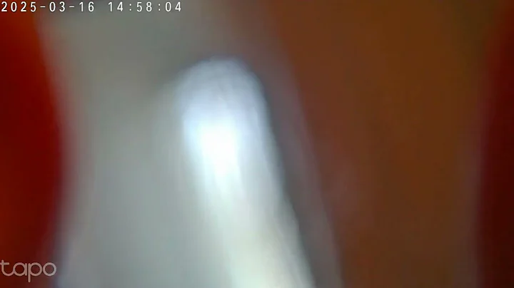 vlc record 2025 03 16 15h24m35s March 16, 2025 1 mp4  3840x2160 1