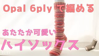 【Opal 6ply】ハイソックスの編み方