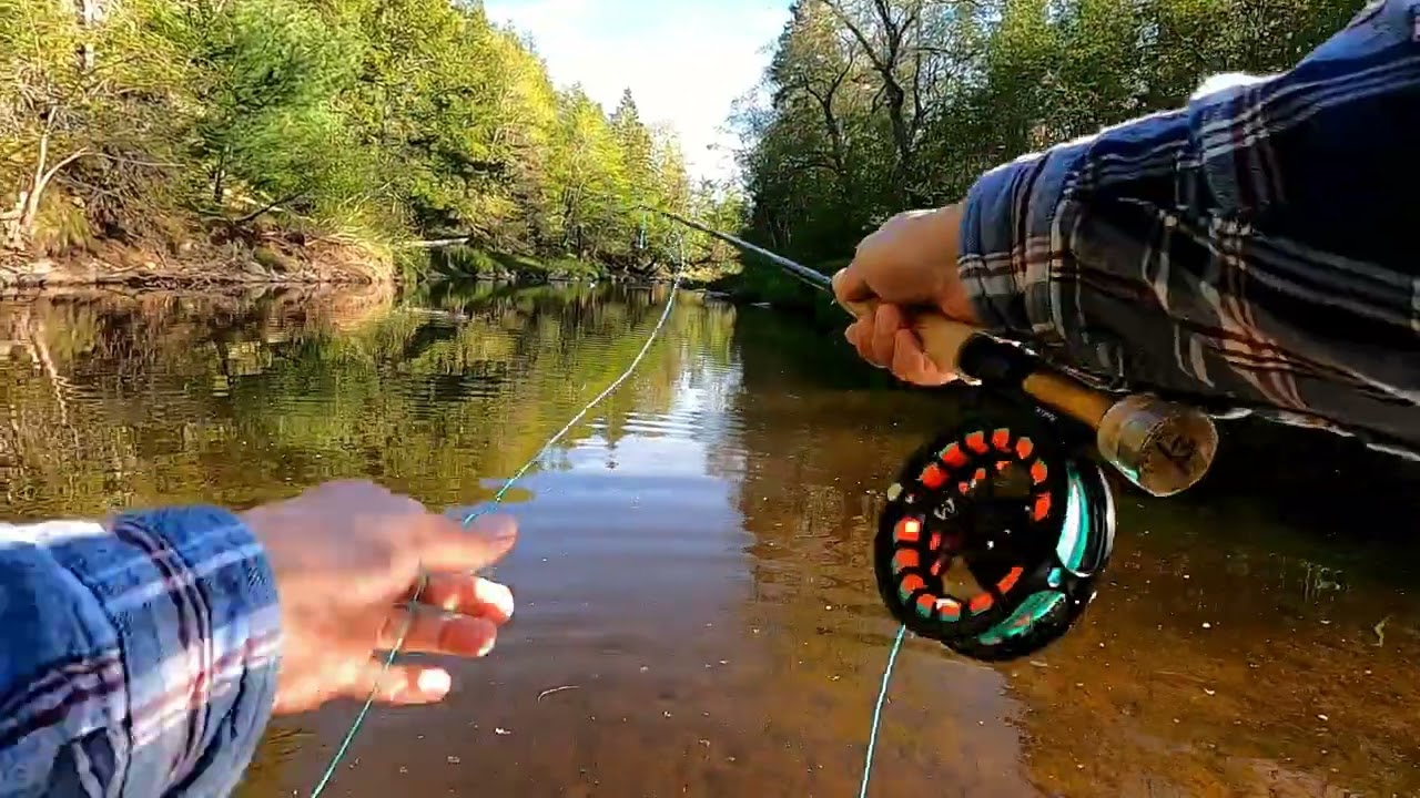 Fly Fishing The Nine Mile River NS