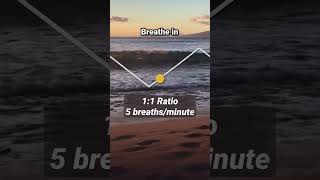 Breathing Exercise: 5 Breaths Per Minute