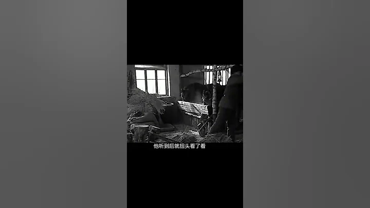 1963年，軍區首長去內蒙視察，發現一流浪漢，竟是犧牲10年的戰友 #翁翁說史 #古董 #開棺 #古墓 #考古發現 - 天天要聞