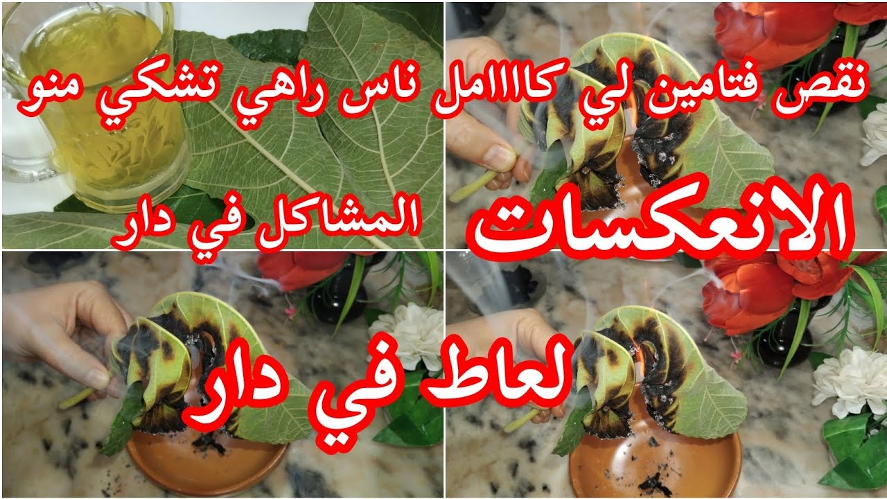 نضفي جسمك ودارك يمكون وحد فقط معجزة ربانية 