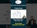 Renal physiology miscellaneous