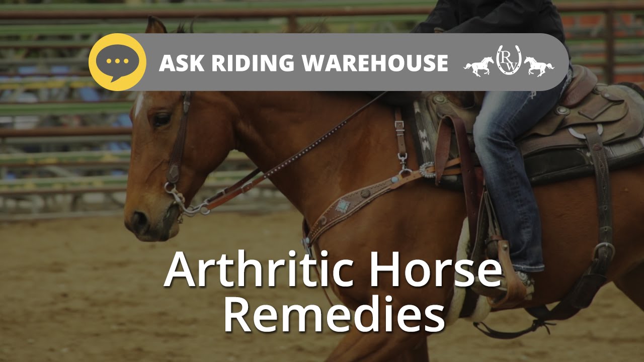 Ask Riding Warehouse Arthritic Horse Remedies YouTube