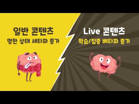 신기한나라 Live를 해야 하는 이유?! [신기한나라 Live]