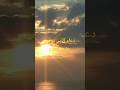قصة النبي يونس عليه السلاملماذا ابتلعه الحوت ولم يهضمه قصص_وحكايا قصص قصص_واقعية mp3