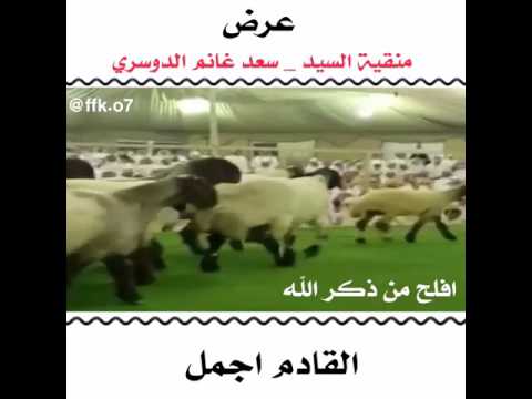 سعد غانم الدوسري