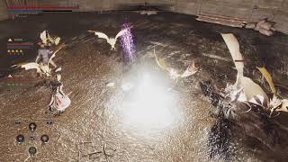 Greedfall Coin Arena