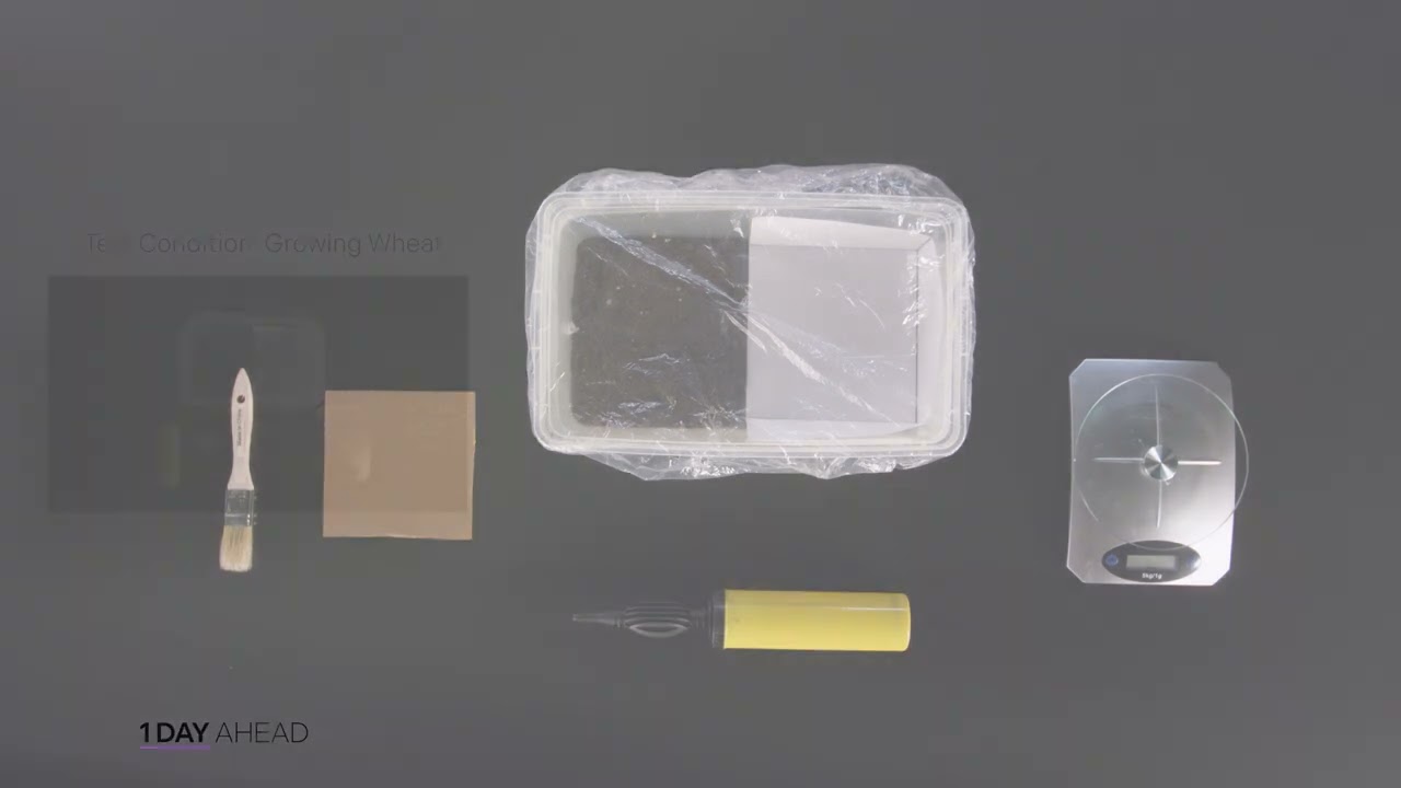 PHD Dust Bowl Investigation - Video edits by Adam Lovelace