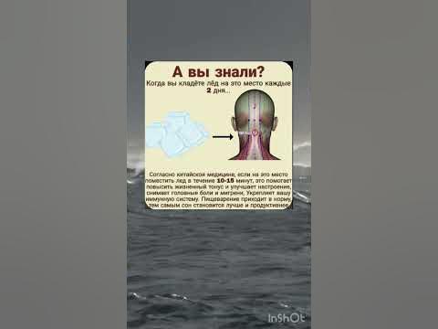 Для вашего здоровье - YouTube