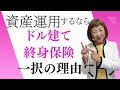 【徹底解説】資産運用始めるなら「ドル建て終身保険」一択の７つの理由【外資系金融20年のあちゃみんの円安・物価高時代の生き抜き戦略】