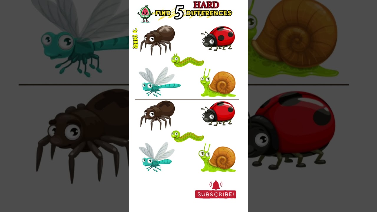 Find 5 differences '5 fark buldun mu' 