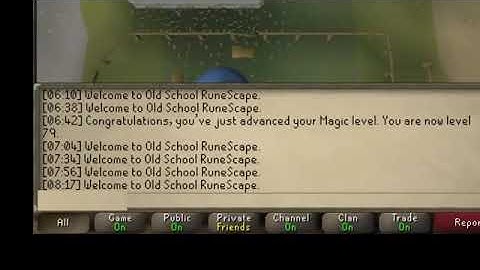 Botting to MAX in OSRS With AI scripts. (I Got a Pet)