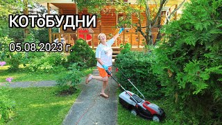 : , 5  2023 .:         ...