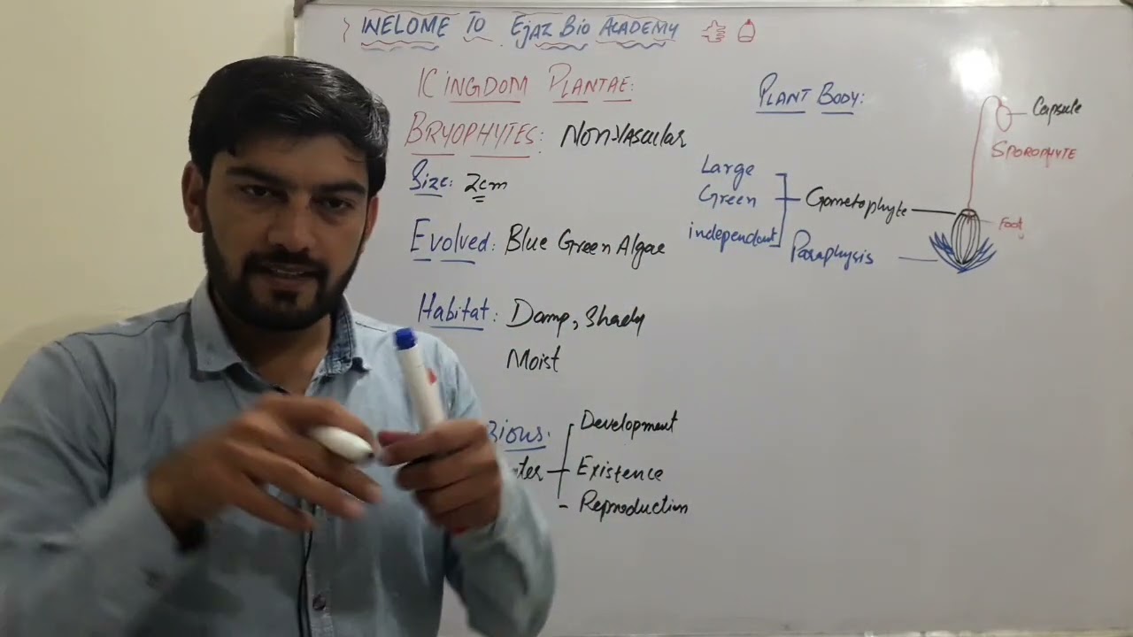 General Characteristics of Bryophytes | Evolutionary Adaptations Explained, FSc | A & O Levels