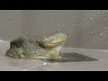 Beginning of video