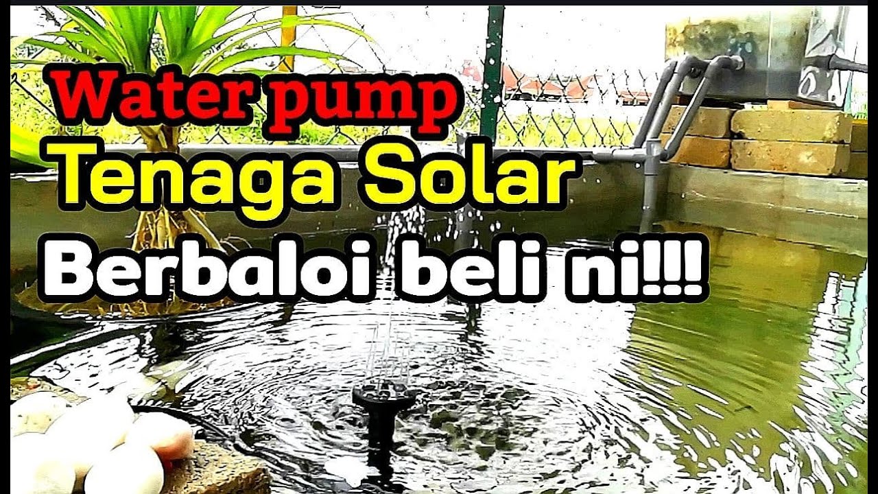 Diy Unboxing Installation Solar Water Pump Cara Pasang Pam Air Solar Kolam Ikan Guppy Ikan Laga Youtube
