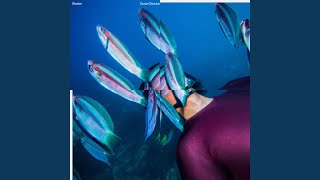Ocean Dissolve
