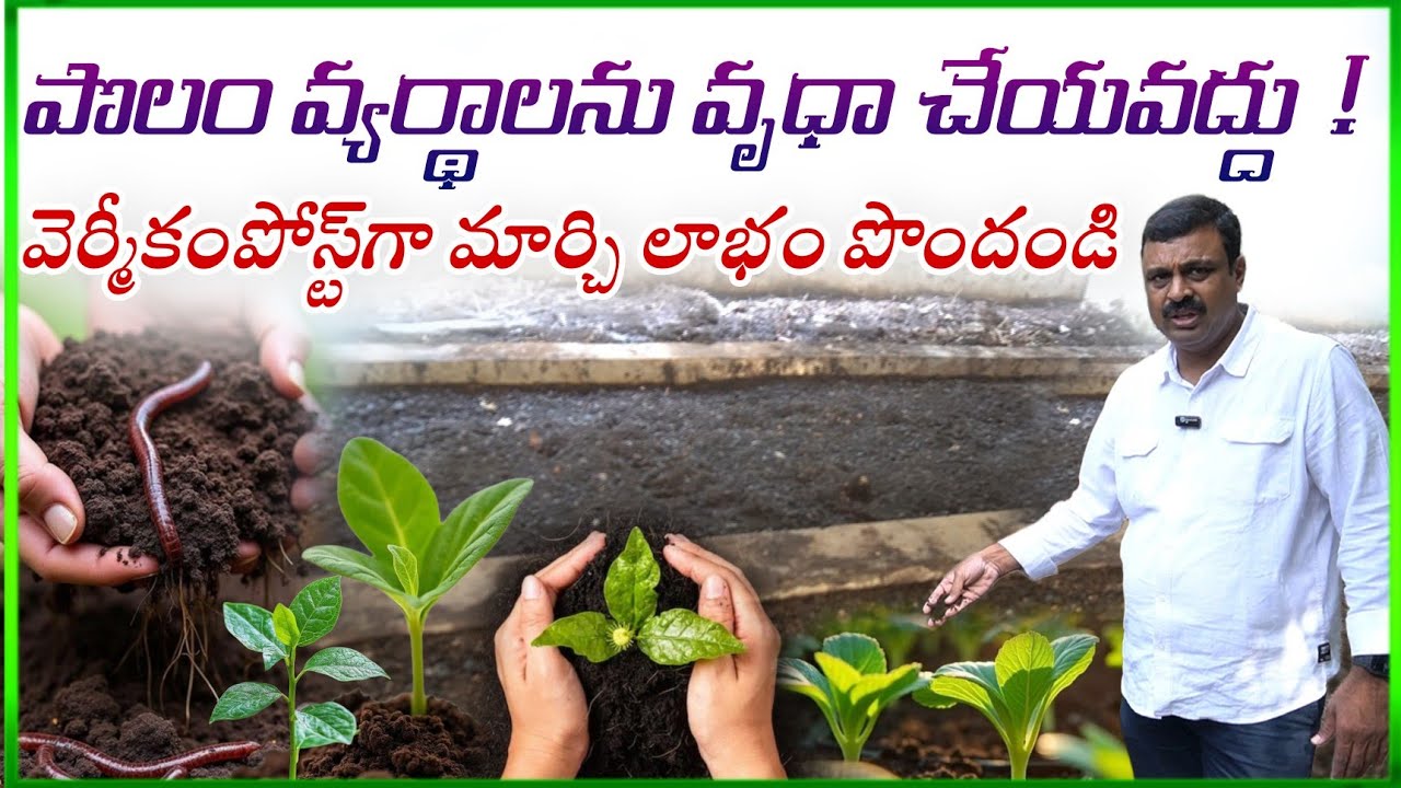 ఫార్మ్‌లో వెర్మీ కంపోస్ట్ ఎలా తయారు చేయాలి | Vermicompost Making process at Farm | compost making 