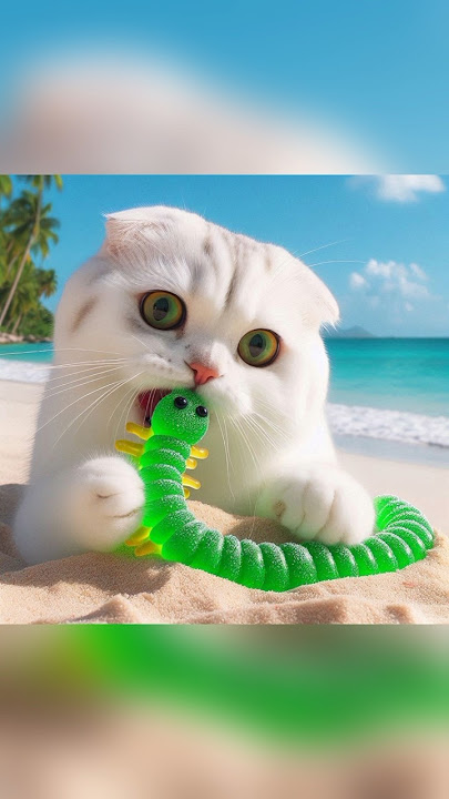 kucing lucu makan gummy lipan bunglon jerapah warna hijau #catcute #funny