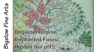 Beginner Tutorial Hidden Owl pt15 : Enchanted Forest color along with polychromos