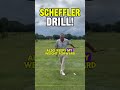 Scheffler drill!