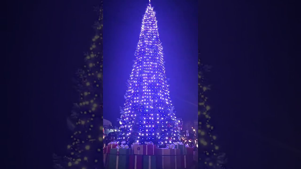 LIVE AT Pier 39 Christmas Tree Musical Lights 