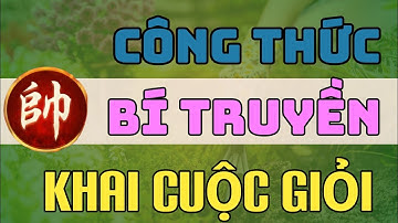 [cờ tướng thực chiến cấp 9.3] công thức hoàn thiện khai cuộc , siêu nhanh cho mọi kì thủ , mr Bill