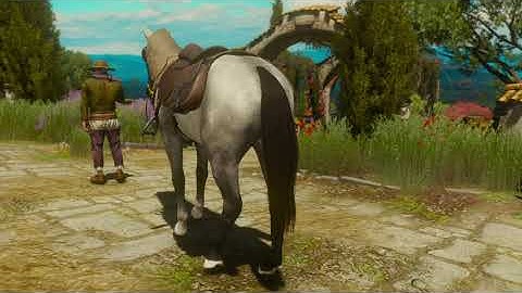 The Stable - Witcher 3 Horse Customization Mod - WIP