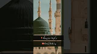 #youtube #youtubeshorts #youtubevideo #viralvideo #islamicvideo #rasoolallah #ilovemuhammad