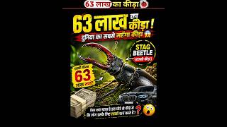 Most Expensive Insects of The World 🐞| #insects #facts #stagbeetle #shorts #world #expensive