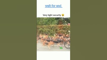 🤣#BEST#DOG SECURITY#FUNNY🤣🤣#shorts#short# short feed#YouTube short #trending#viral shorts#new #2024#