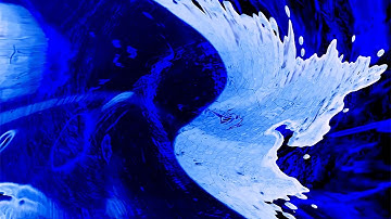 Flux – trailer | IFFR 2024