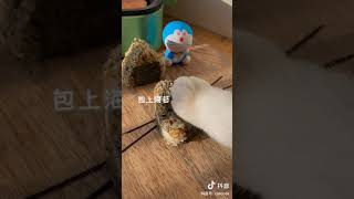 CUTE CATS COOKING VIDEOS TIK TOK DOUYIN 2021