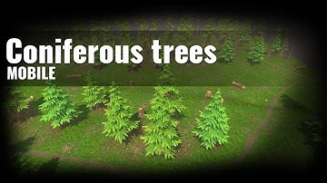 Сoniferous trees