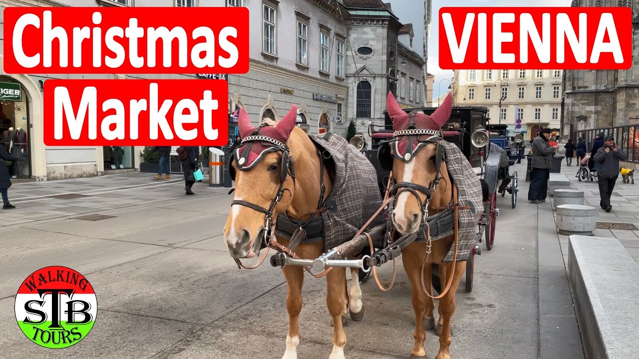 PLAY▶ Vienna, Austria Christmas Market Saint Stephen cathedral 🎄