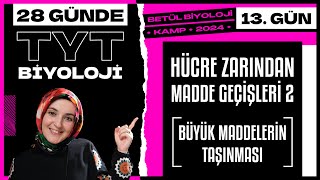 13 Hücre Zarından Madde Geçişleri 2 9. Sınıf Biyoloji 2024 Tyt Biyoloji Kampı 13. Gün