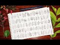 70 Easy Leaves to Doodle When You’re Bored
