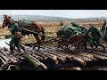 Das große Geheimnis der Ostfront: Warum Pferde wichtiger waren als Panzer