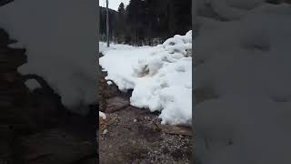 Daglarin Karlari Erimeden Gel