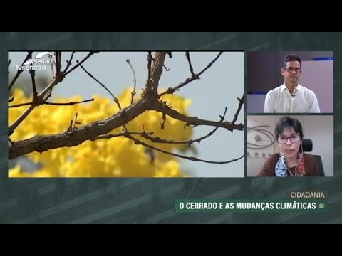 Entenda o papel do Cerrado na mitigação das mudanças climáticas